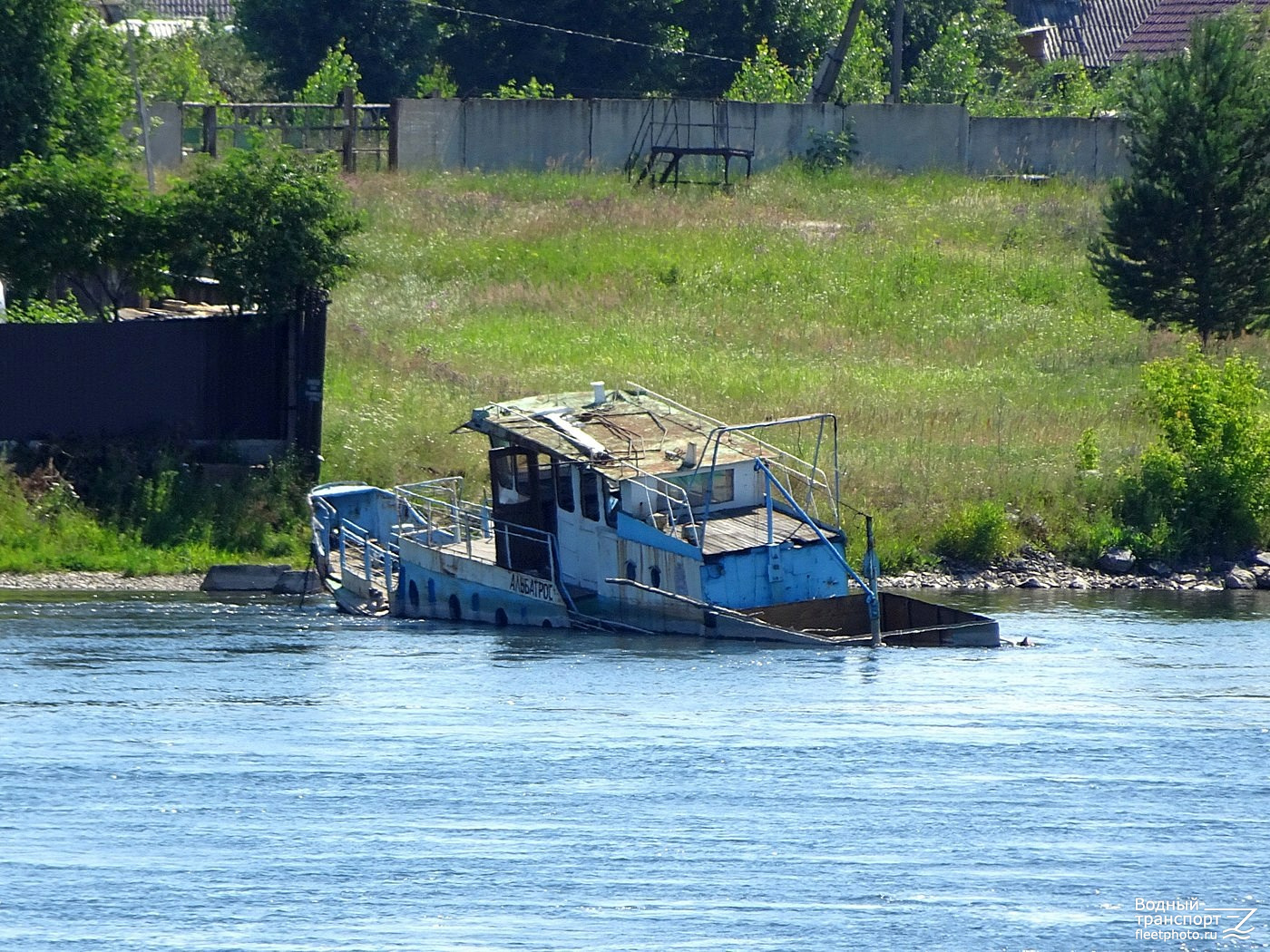 Альбатрос