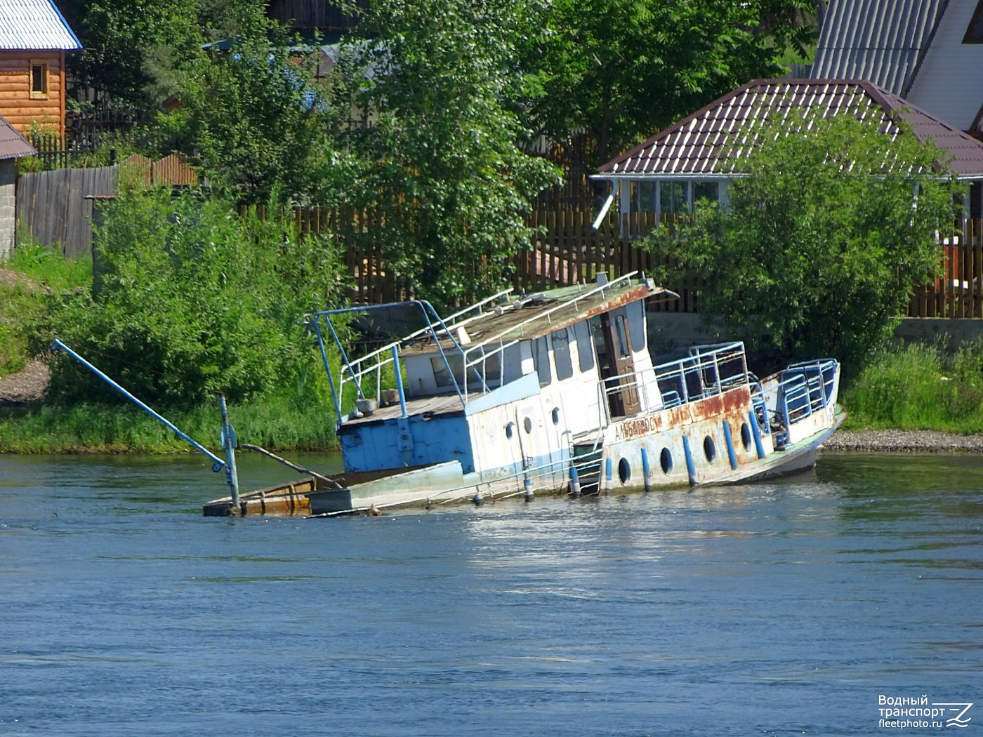 Альбатрос