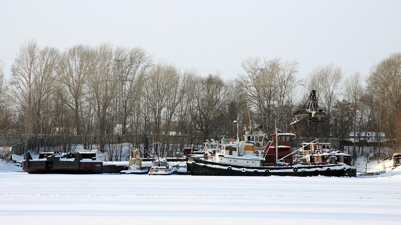 ТК-2008, РБТ-20, Ника, Викинг