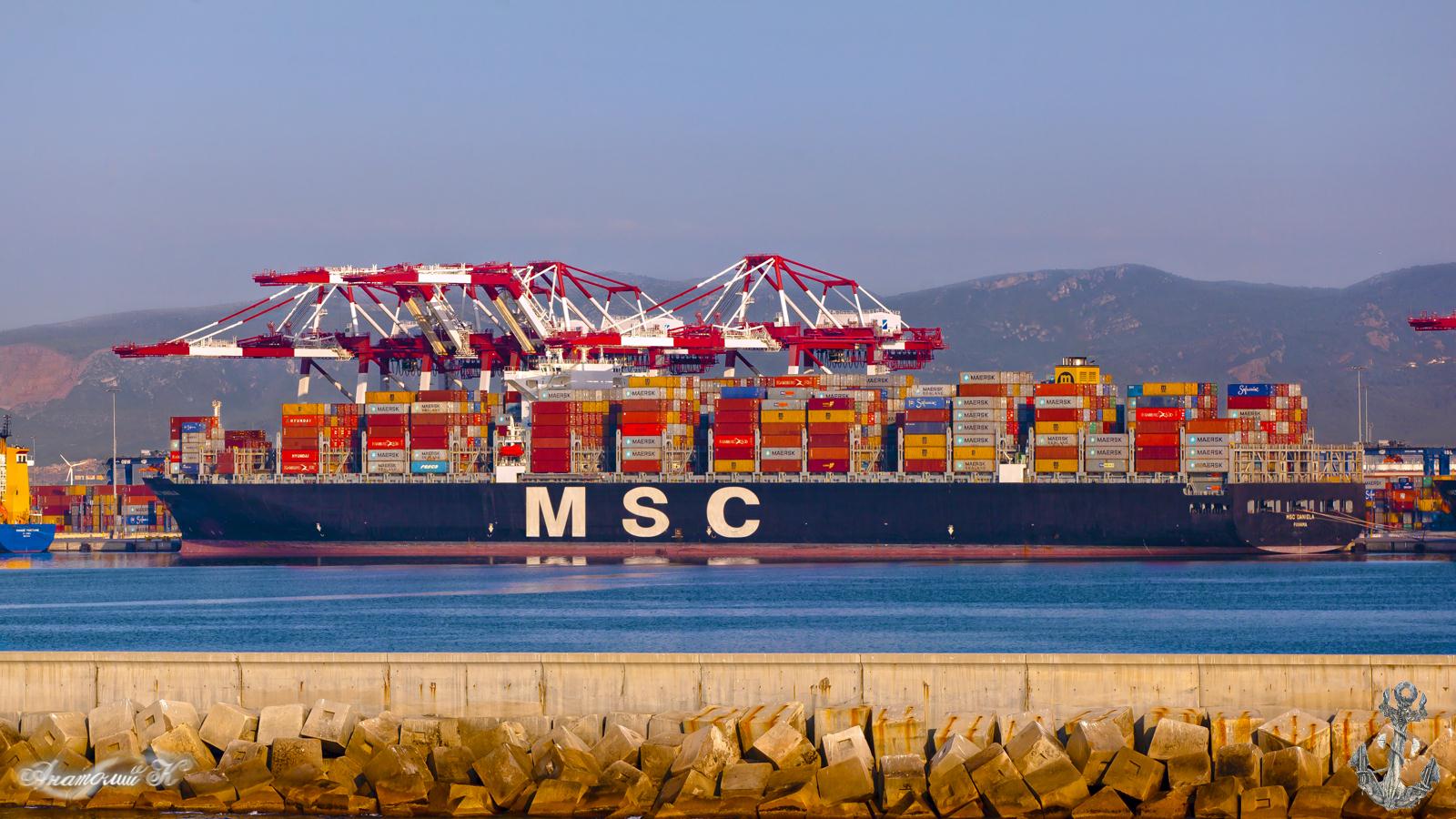 MSC Daniela