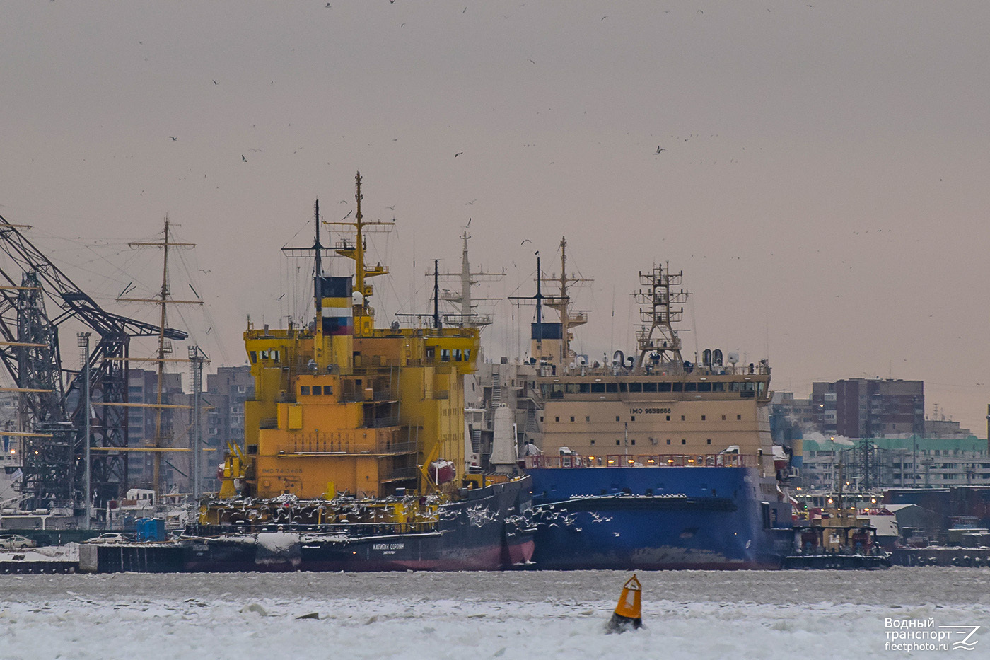 Капитан Сорокин, Мурманск, Дон