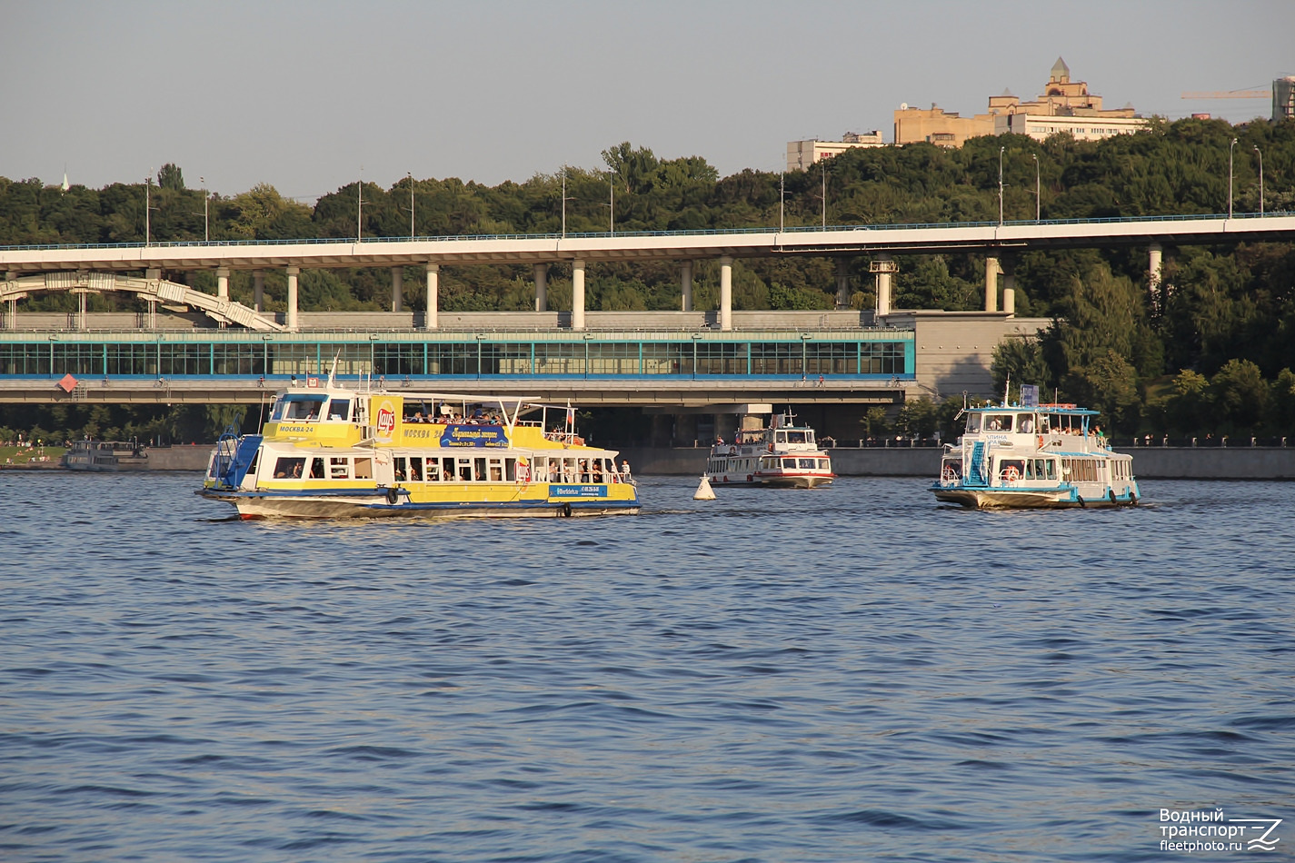 Москва-24, Алина Браво