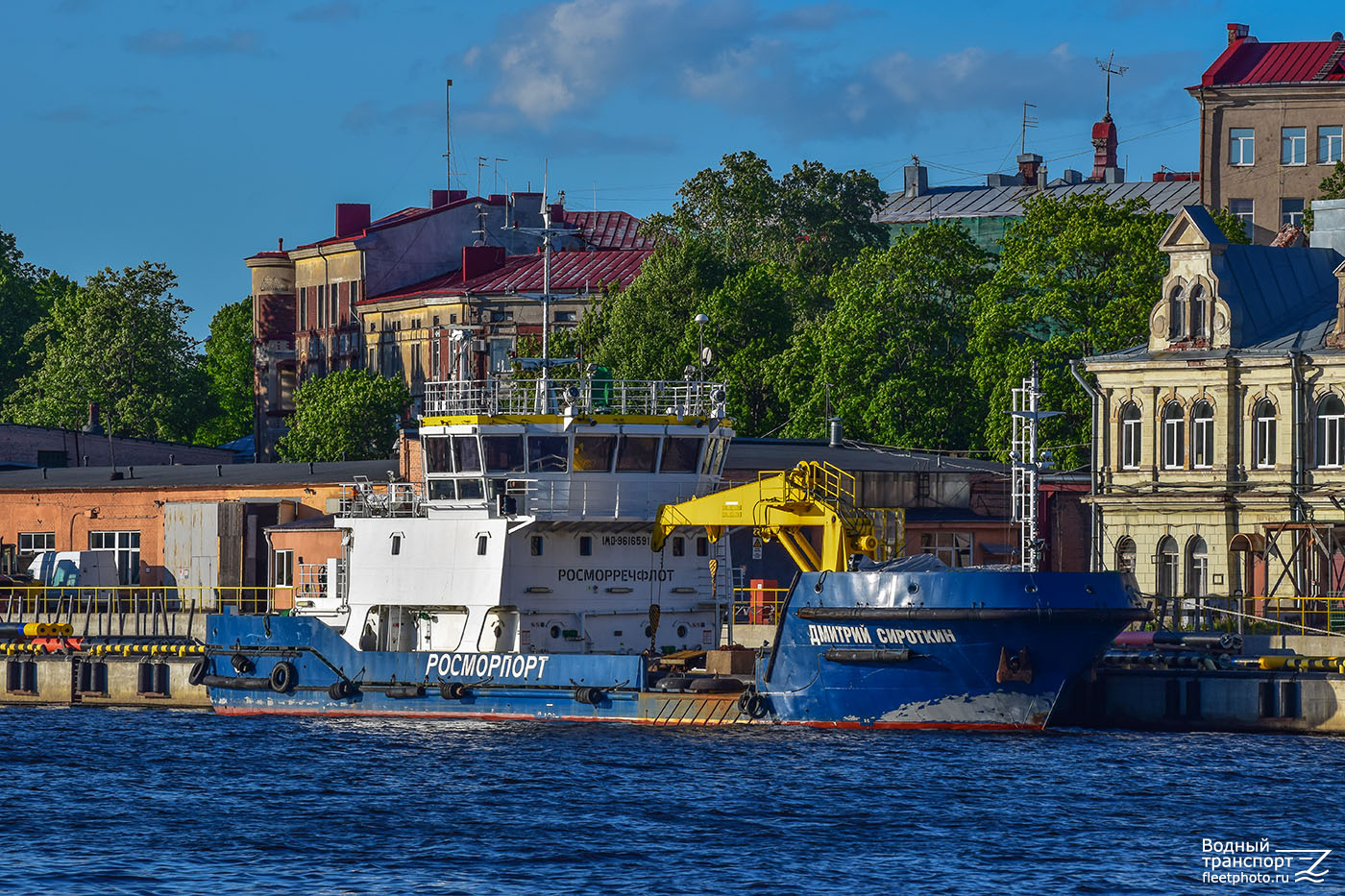 Дмитрий Сироткин