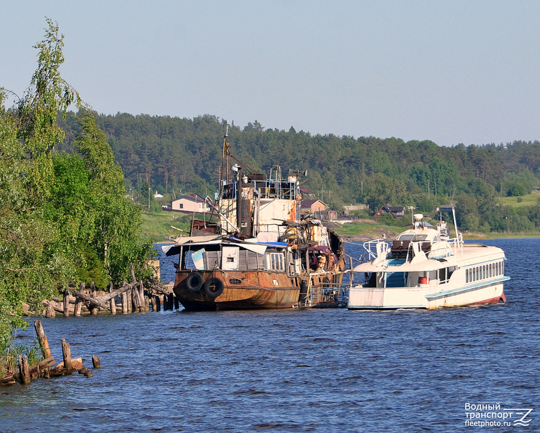 Авангард, Ракета-205