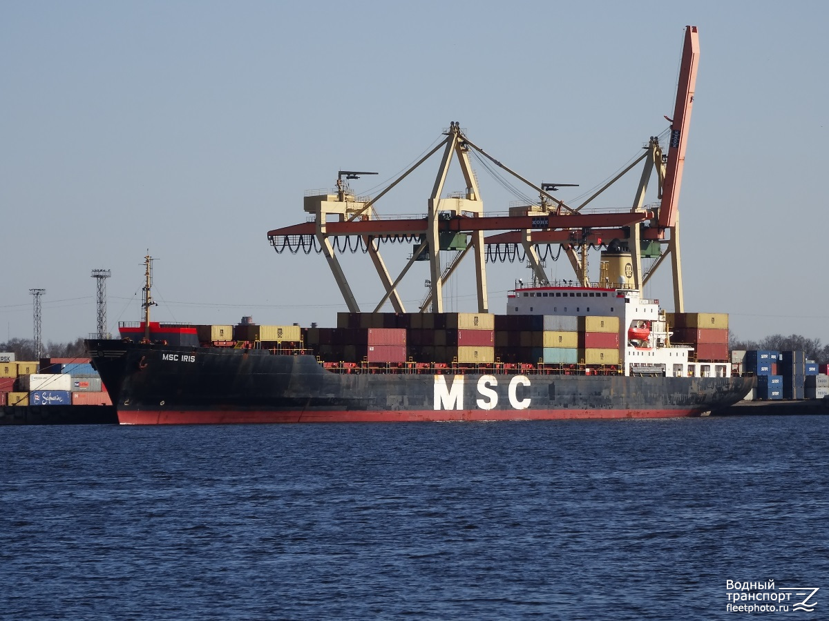 MSC Iris