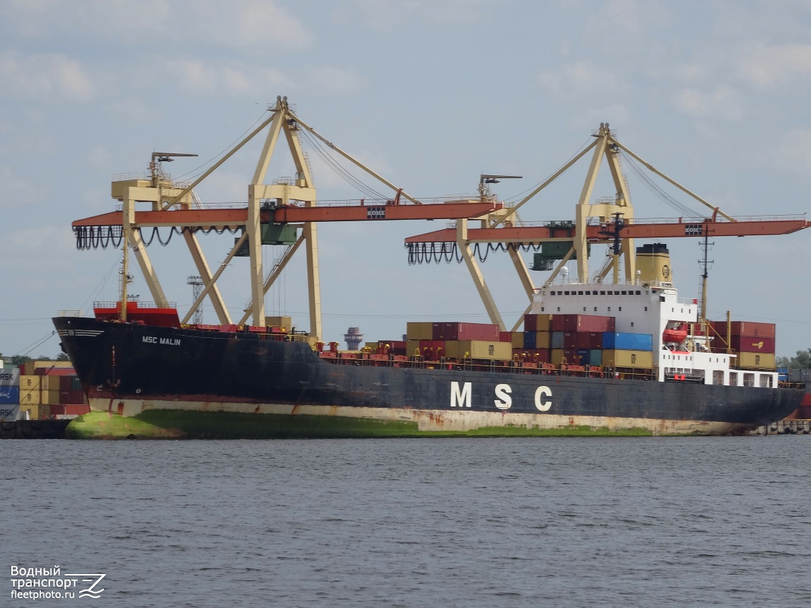 MSC Malin