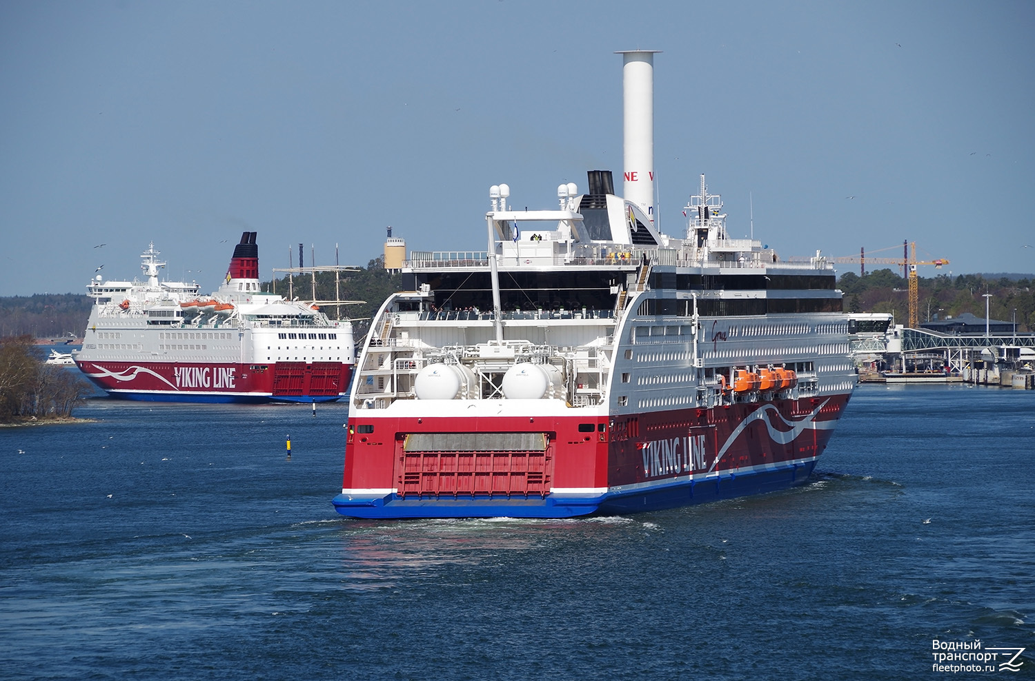 Amorella, Viking Grace