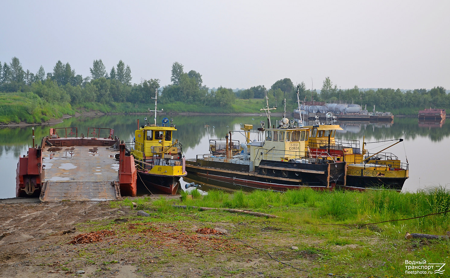 Т-200, Затор, Сокол