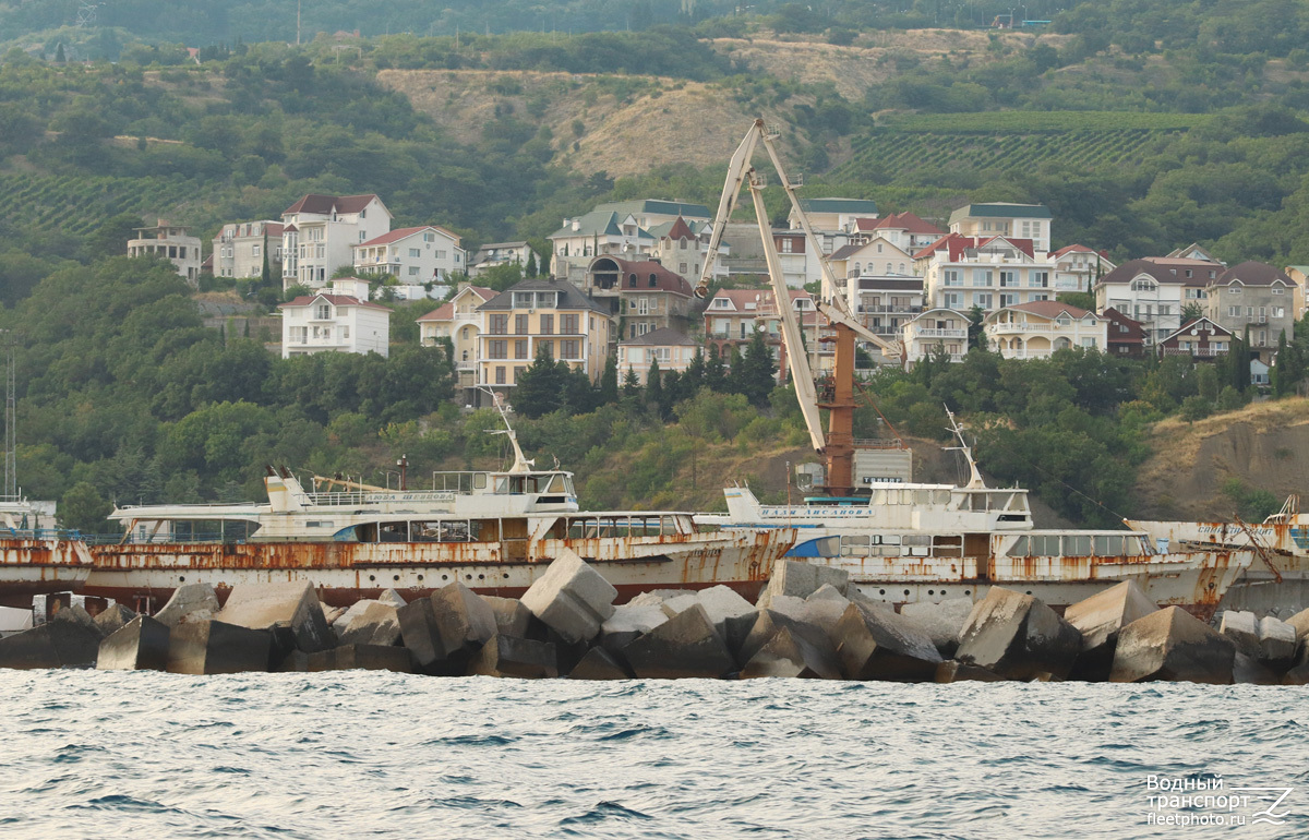 Люба Шевцова, Надя Лисанова