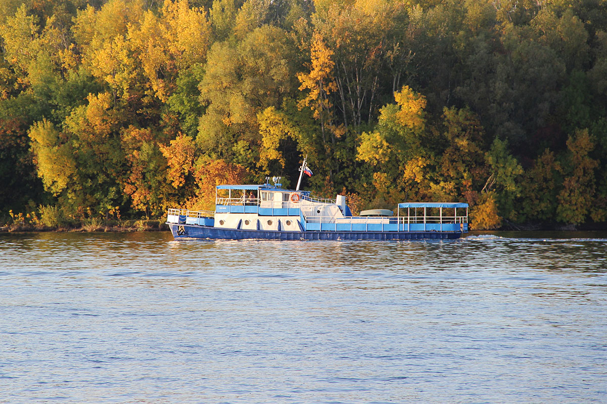 Сталкер