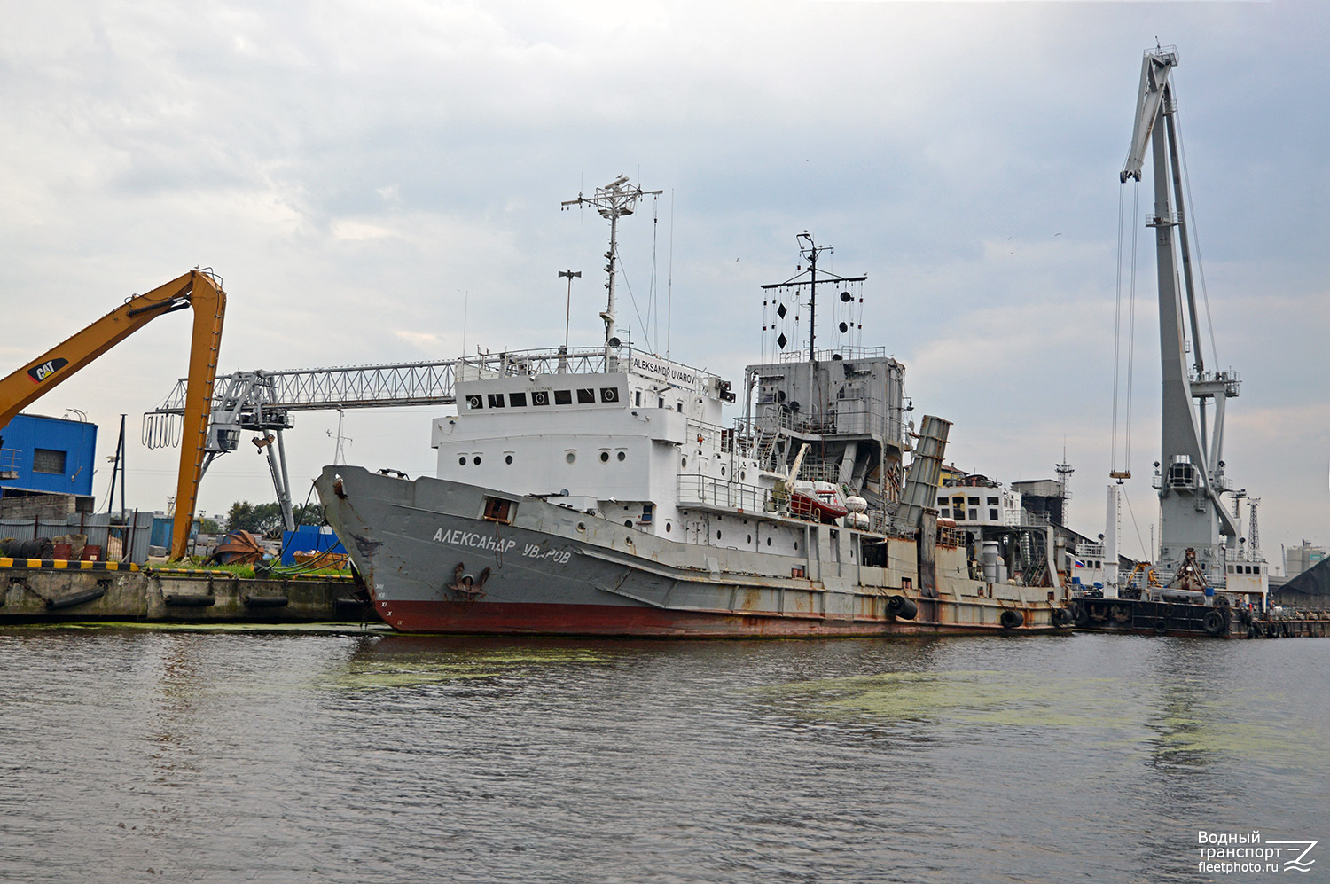 Александр Уваров, Геркулес