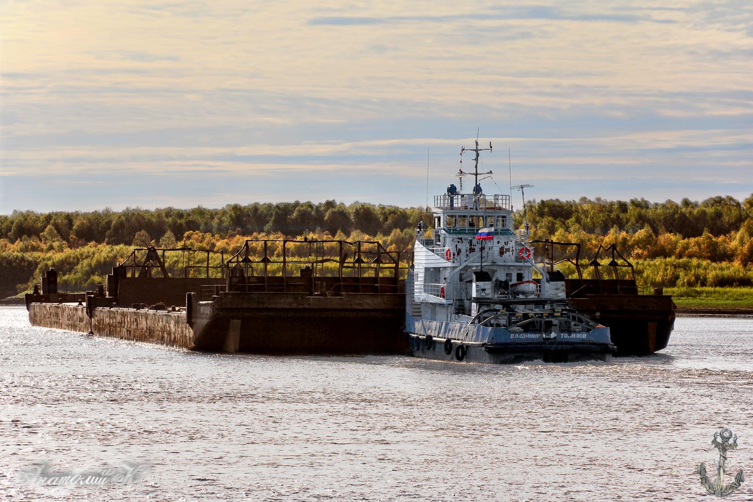 МП-3327, МП-3303, МП-3341, Владимир Томилов