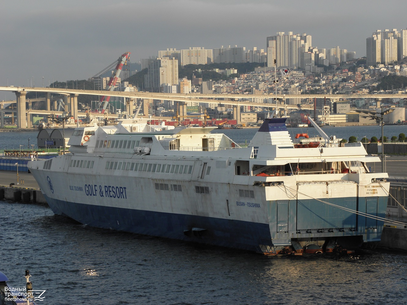 Blue Tsushima