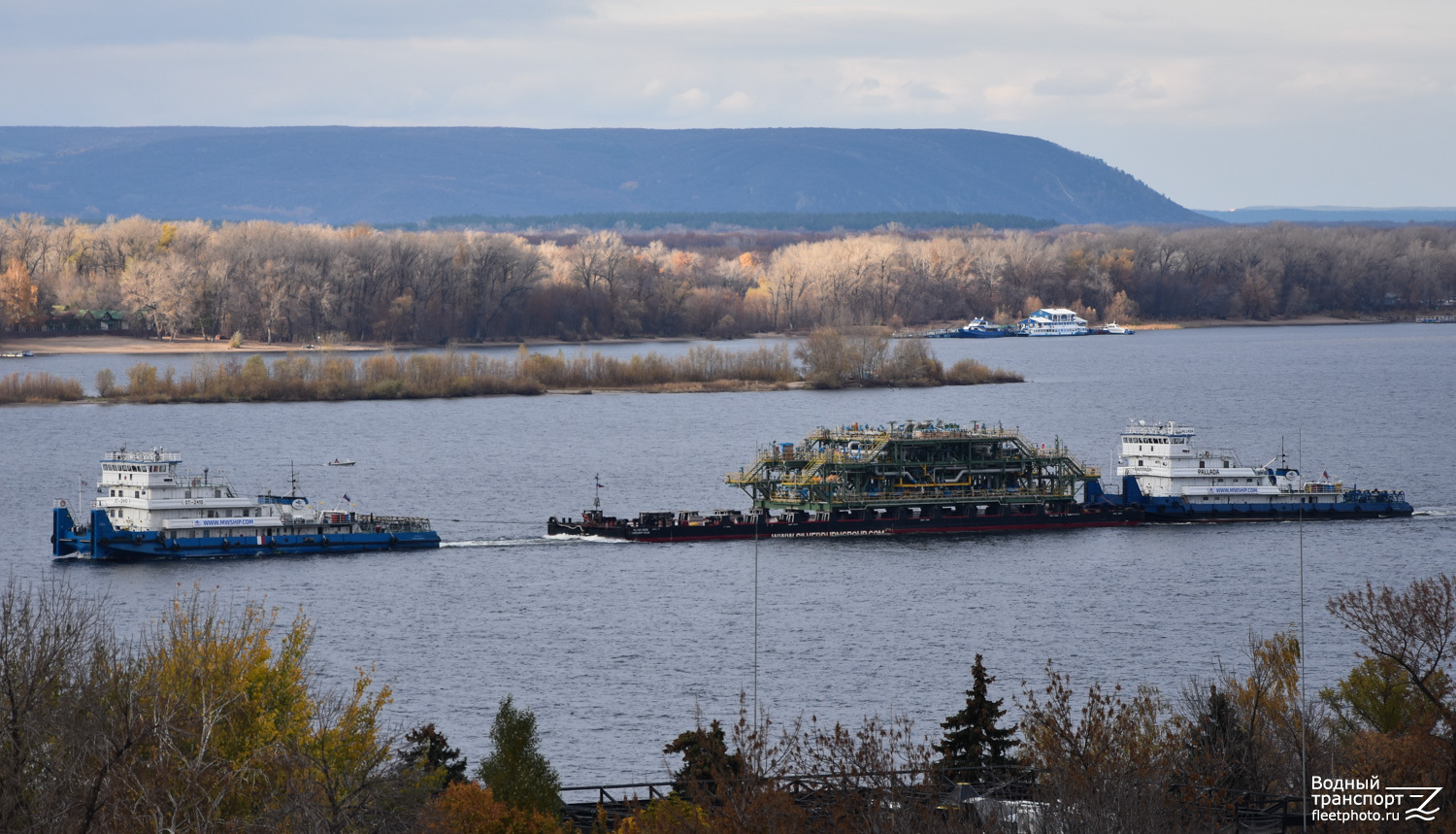 ОТ-2410, Сильвер-3009, Паллада