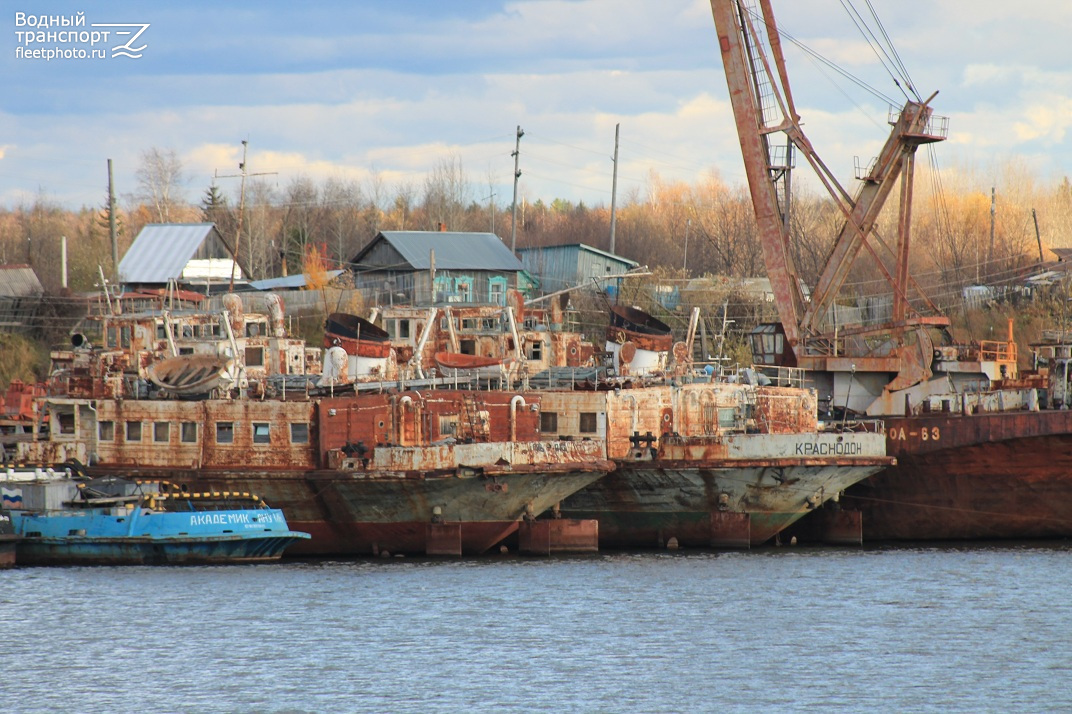 Гавана, Краснодон