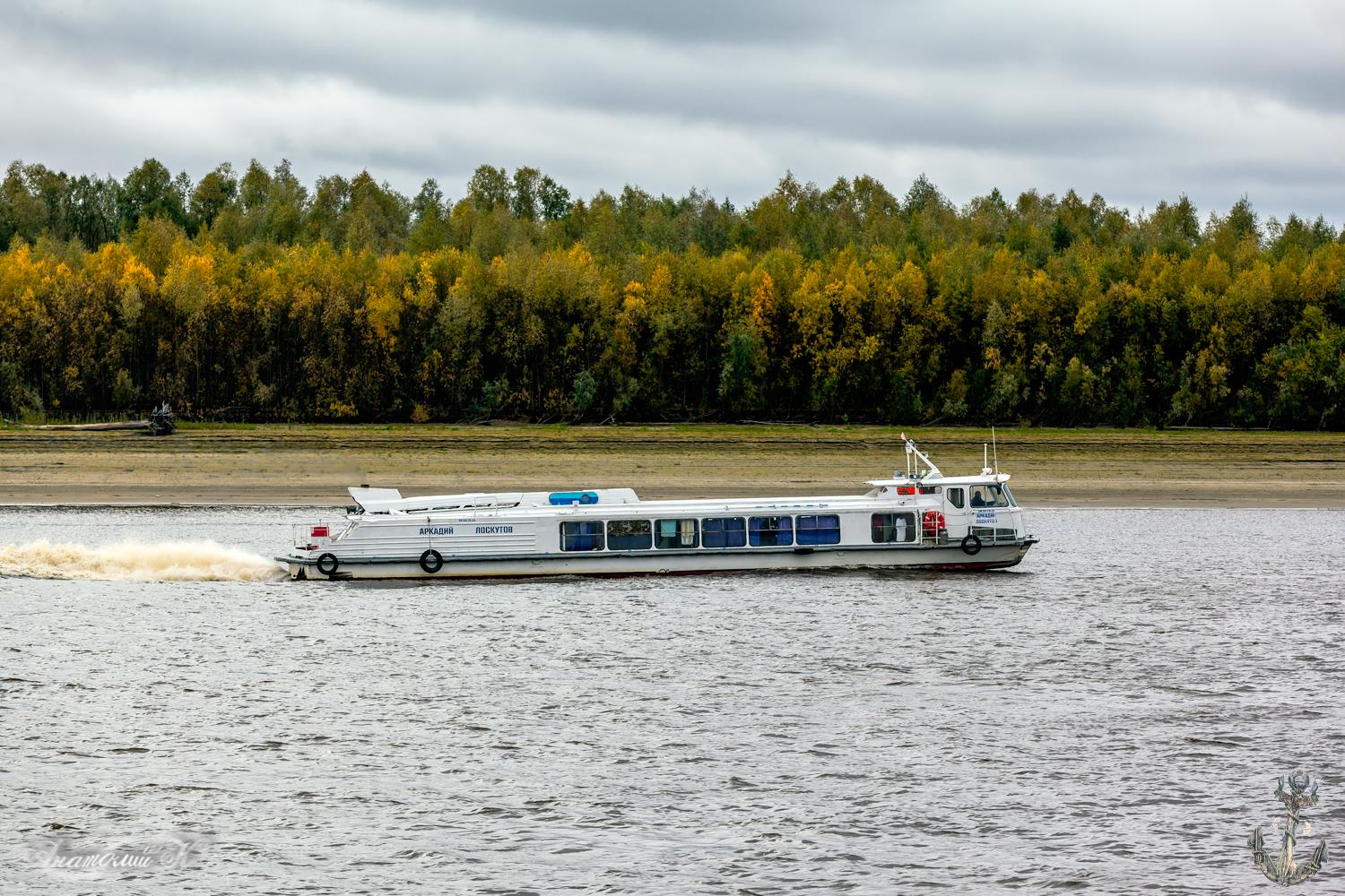 Аркадий Лоскутов