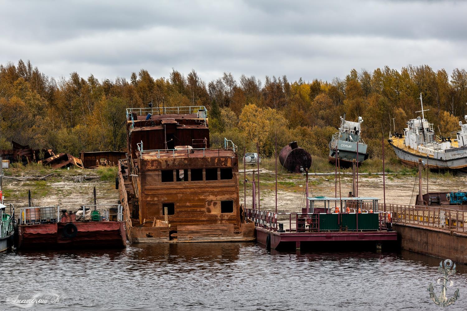 РТСА-202, Волжанка, Серый, Стек-12