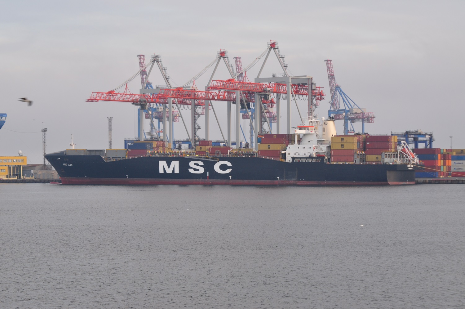 MSC Lea