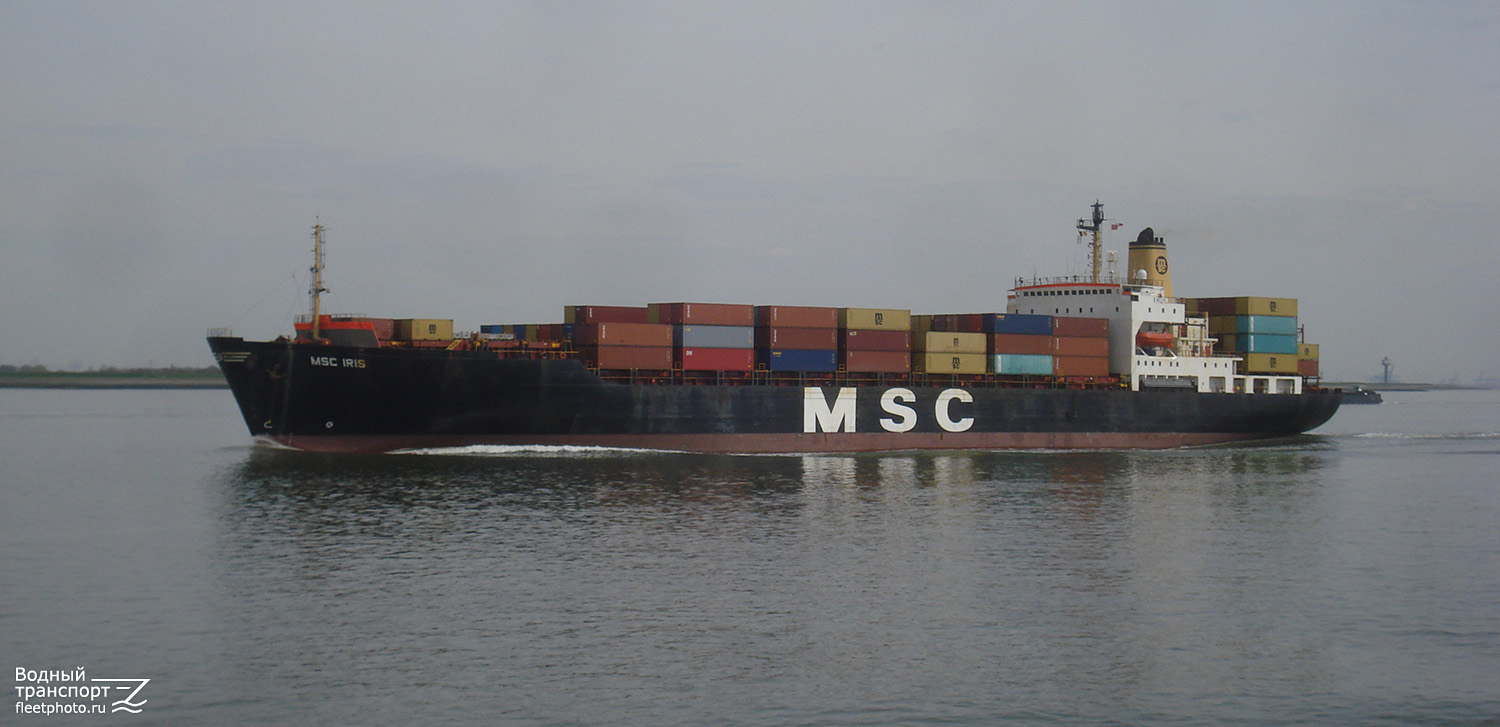 MSC Iris