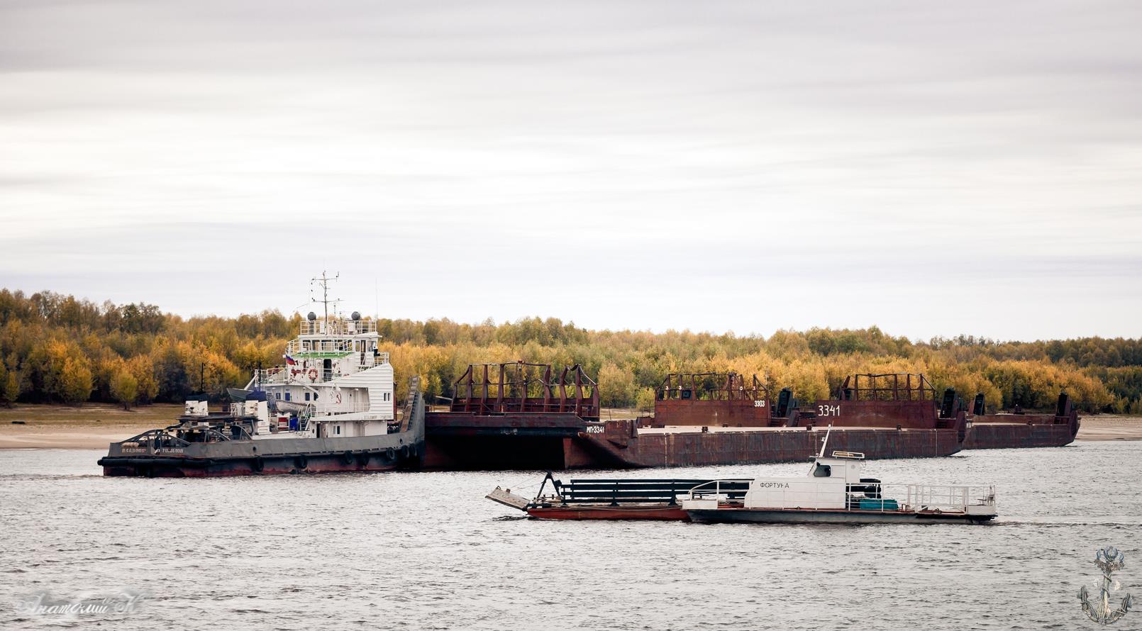 Владимир Томилов, МП-3303, МП-3327, МП-3341, Фортуна