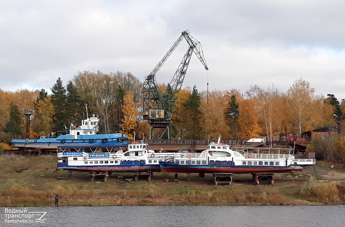 Адлер, Ровесник, Натали