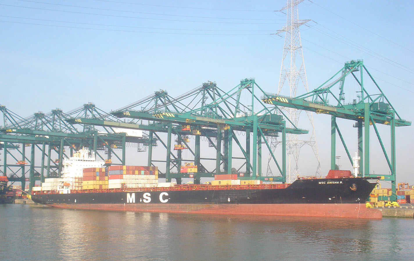 MSC Anisha R.