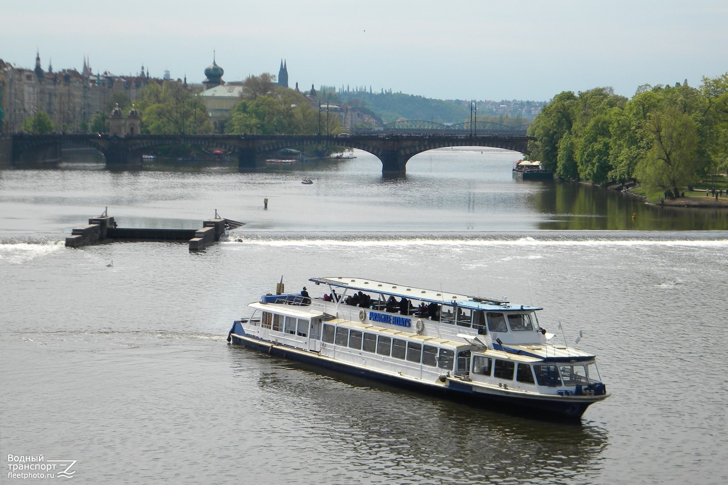 Danubio