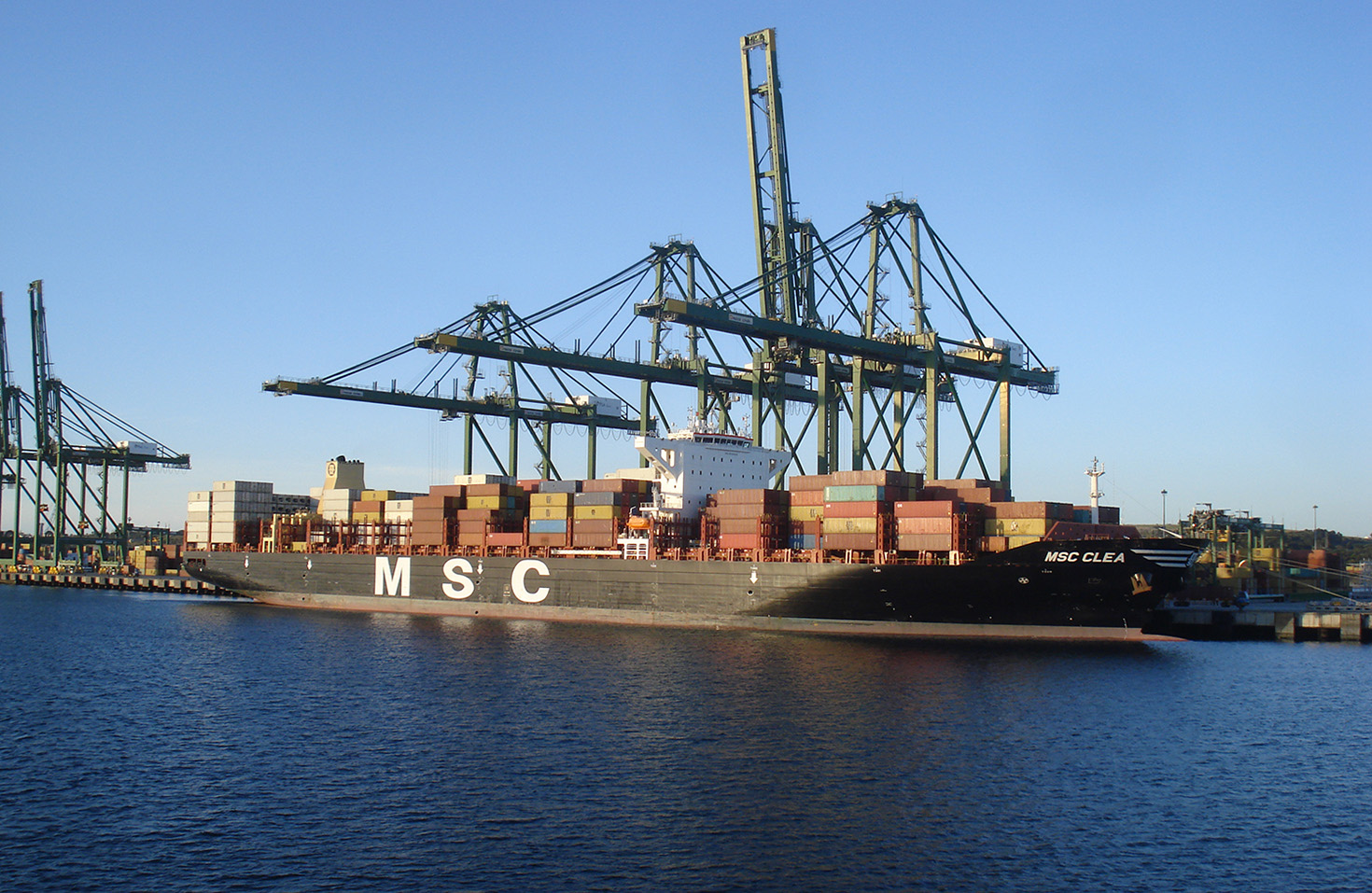 MSC Clea