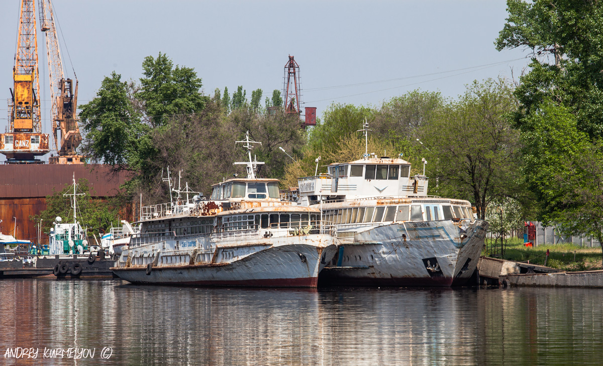 Семен Скляренко, Свiтанок-6