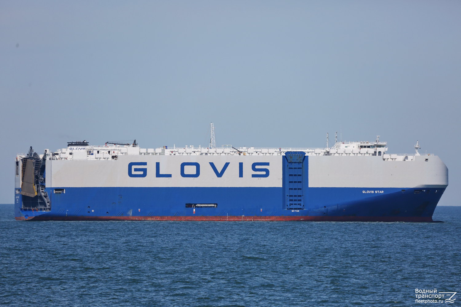 Glovis Star