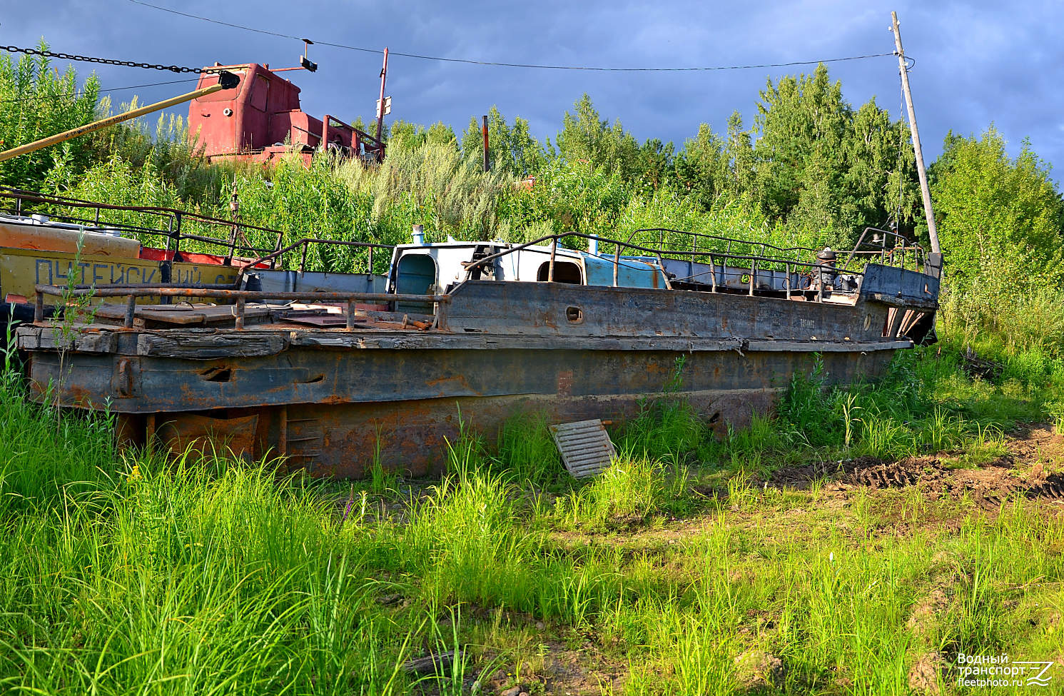 Кедровка. Elements and details