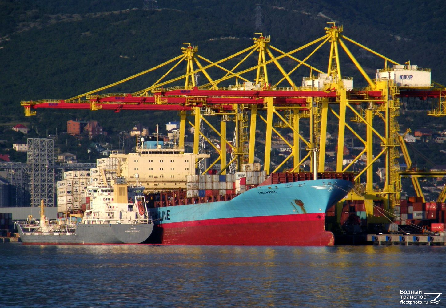 Leda Maersk, Авиор