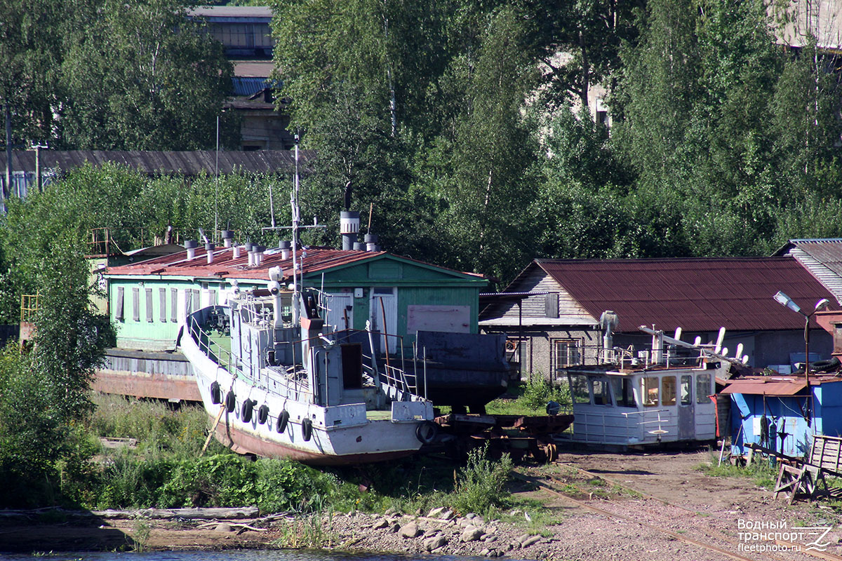 Норка, Б-116, Стрежень