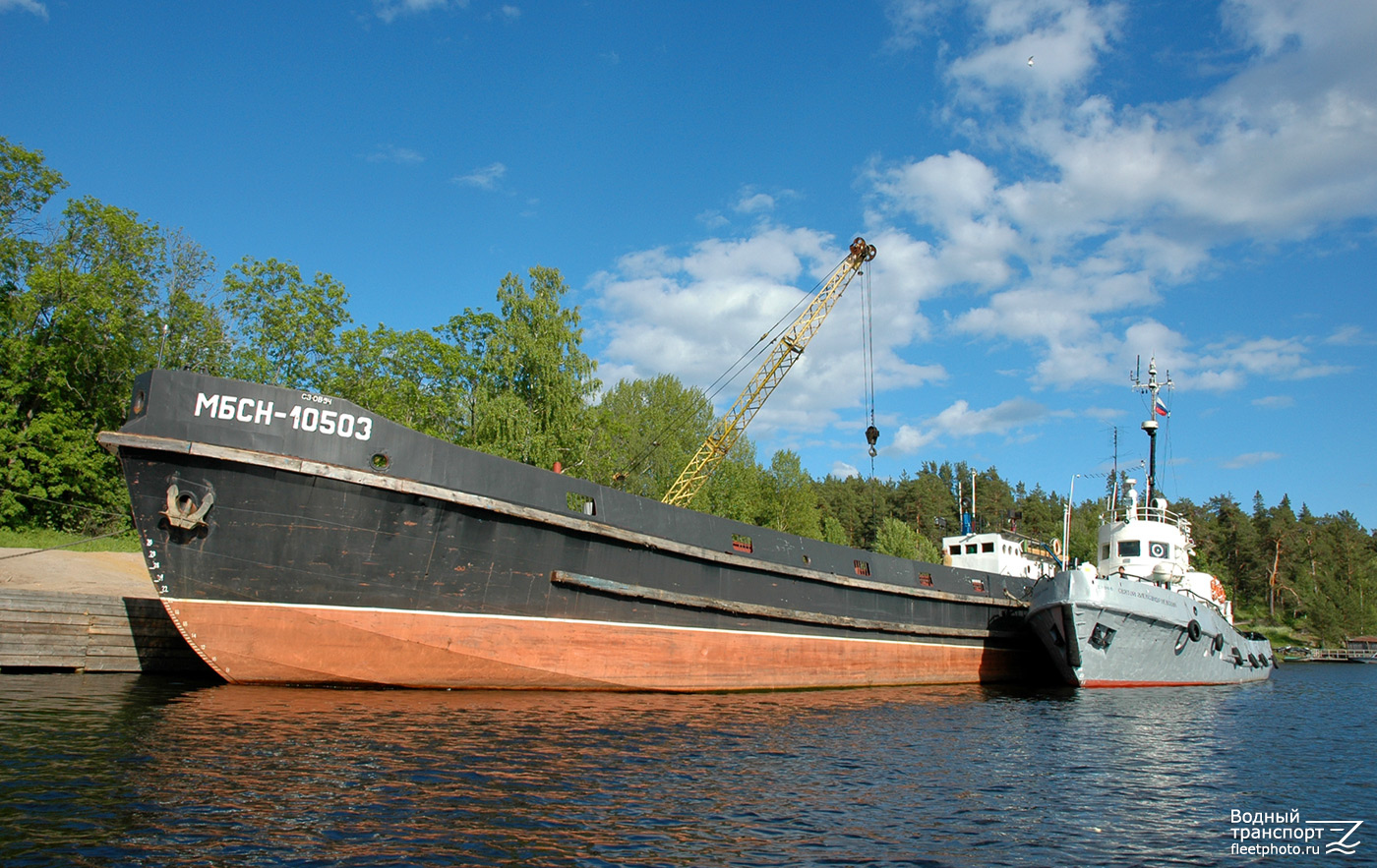 МБСН-10503, Святой Александр Невский