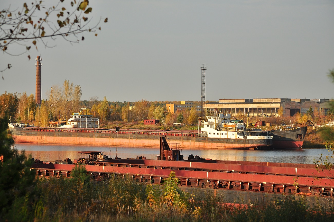 Волго-Дон 167, Волго-Дон 5019