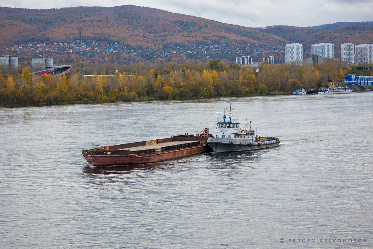 Т-1001, Плотовод-709