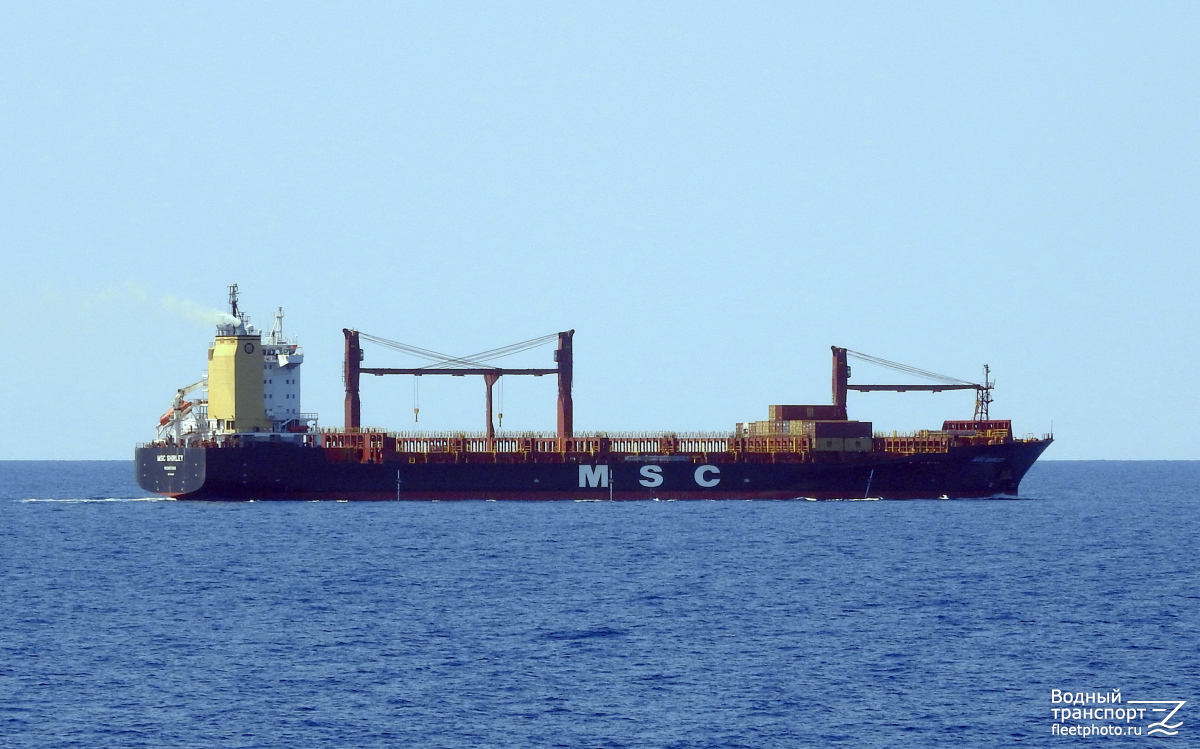 MSC Shirley