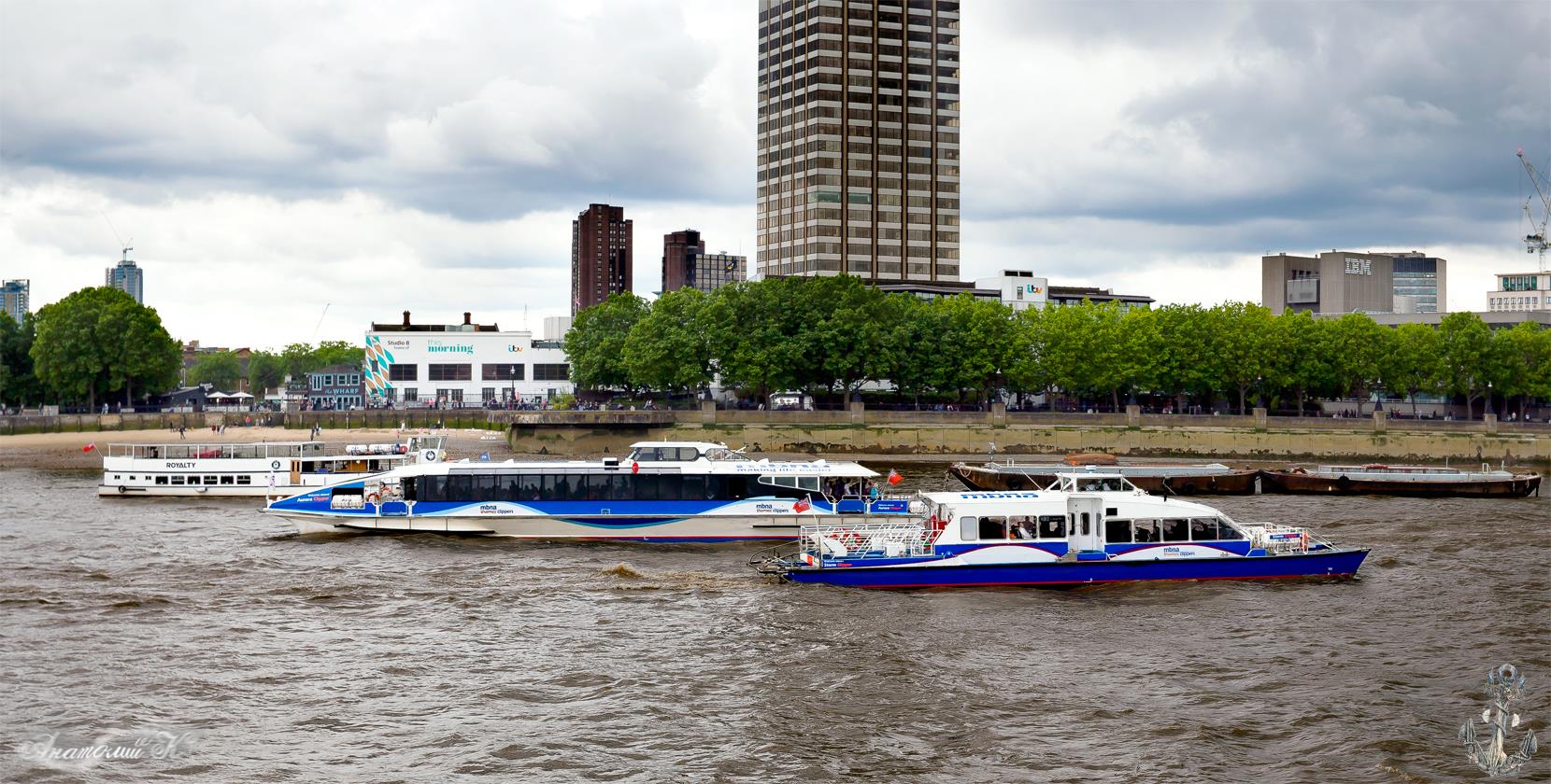 Royalty, Aurora Clipper, Storm Clipper