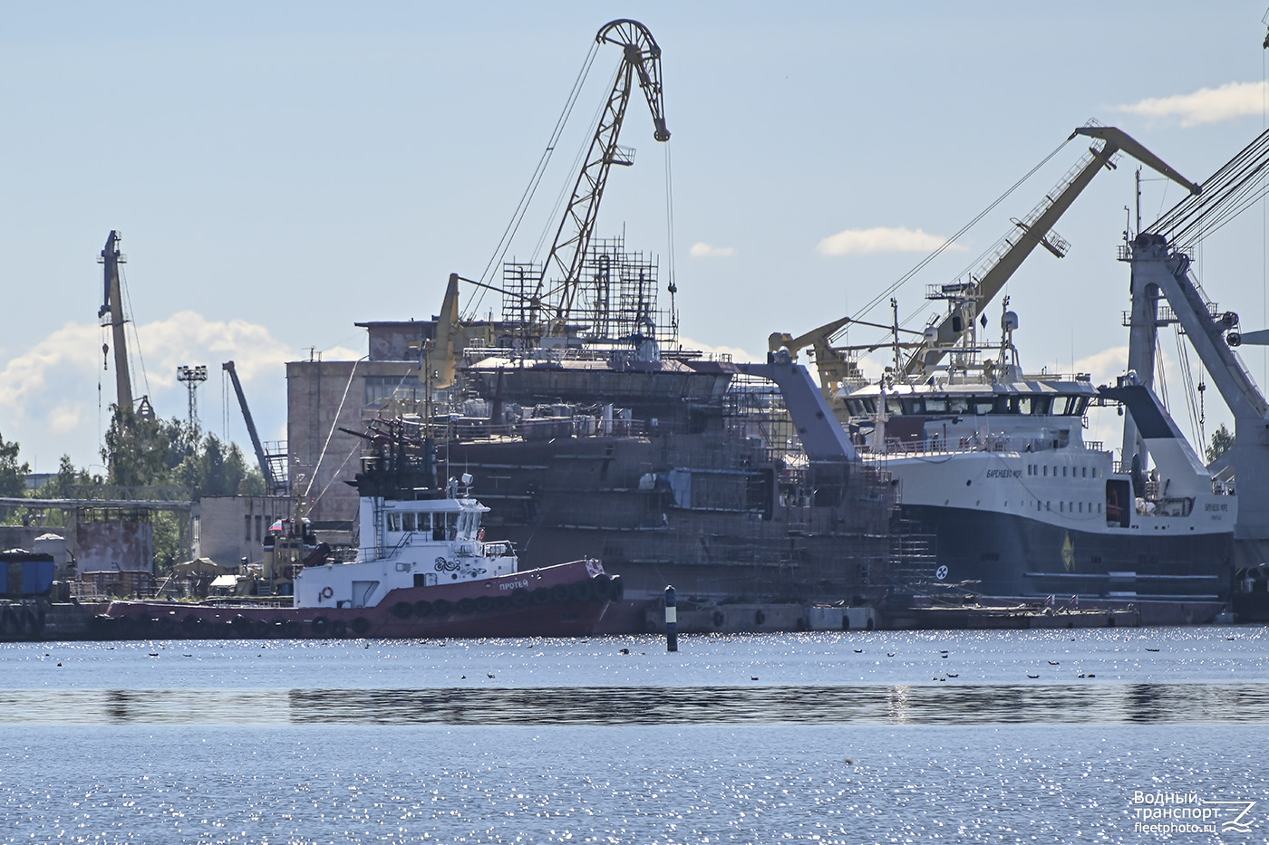 Протей, Норвежское море, Баренцево море