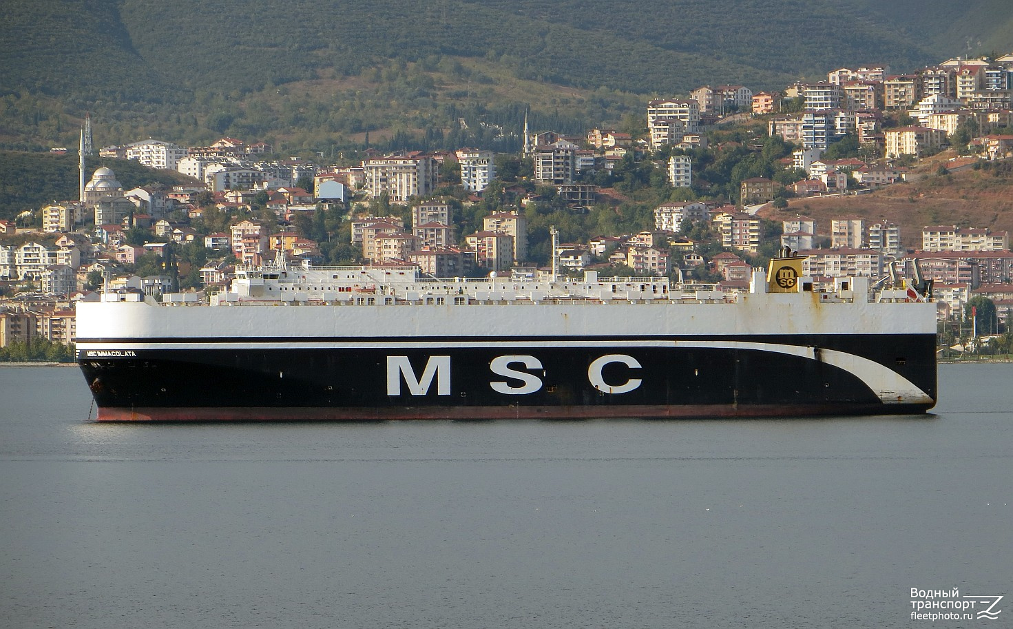 MSC Immacolata