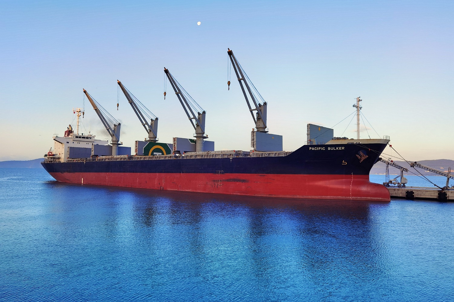 Pacific Bulker