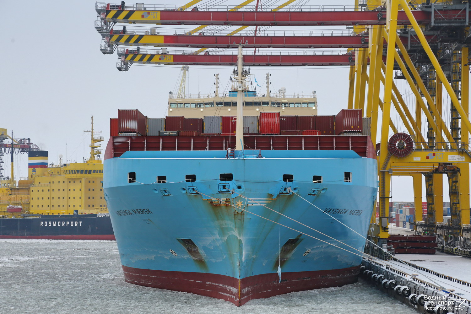 Vayenga Maersk