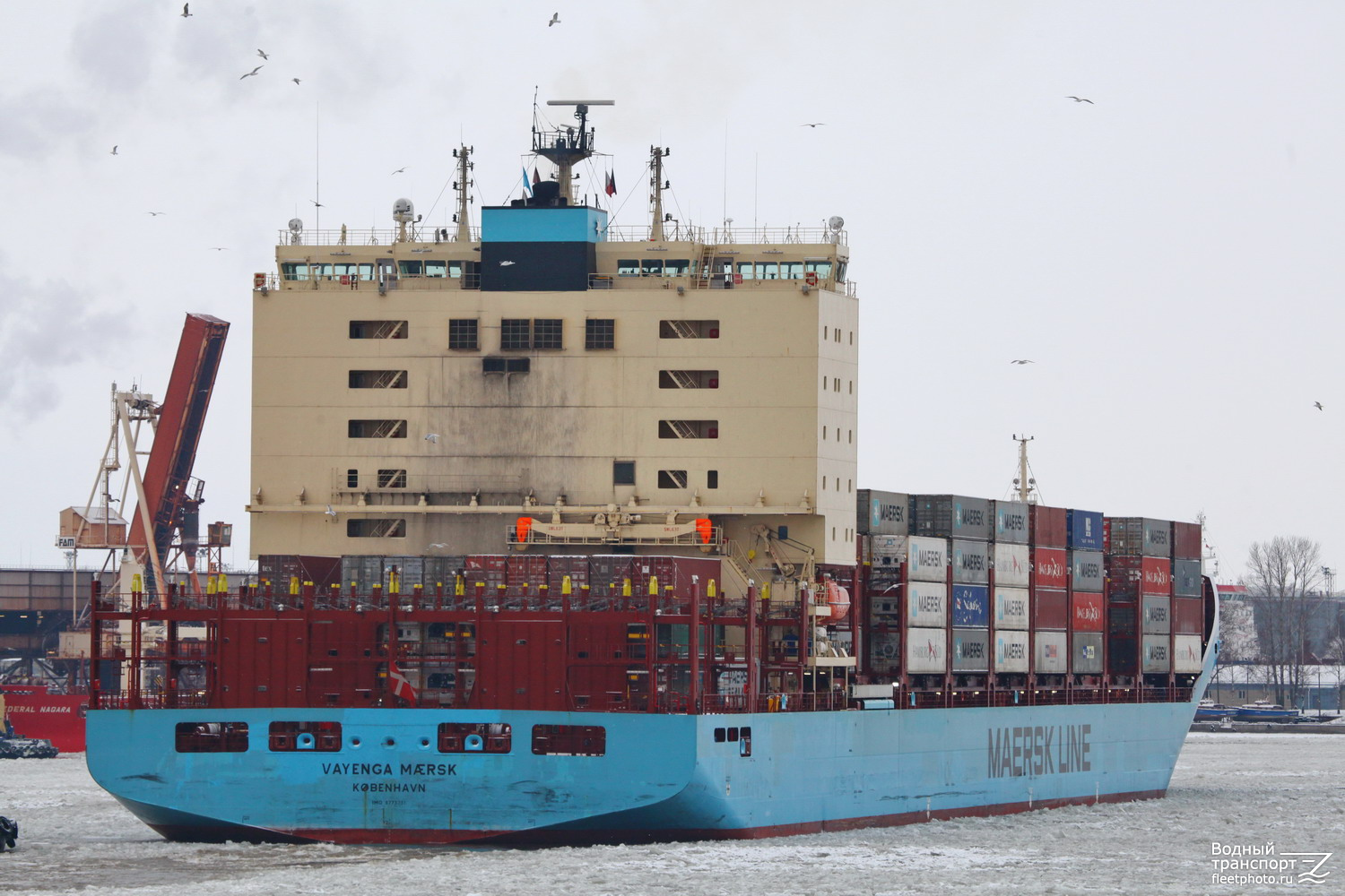 Vayenga Maersk