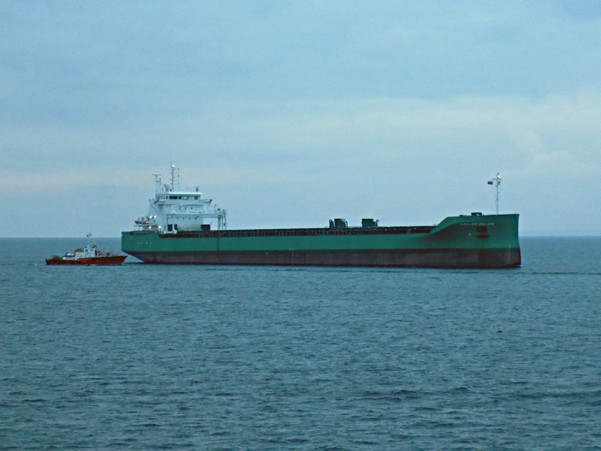 Мирный, Arklow Willow