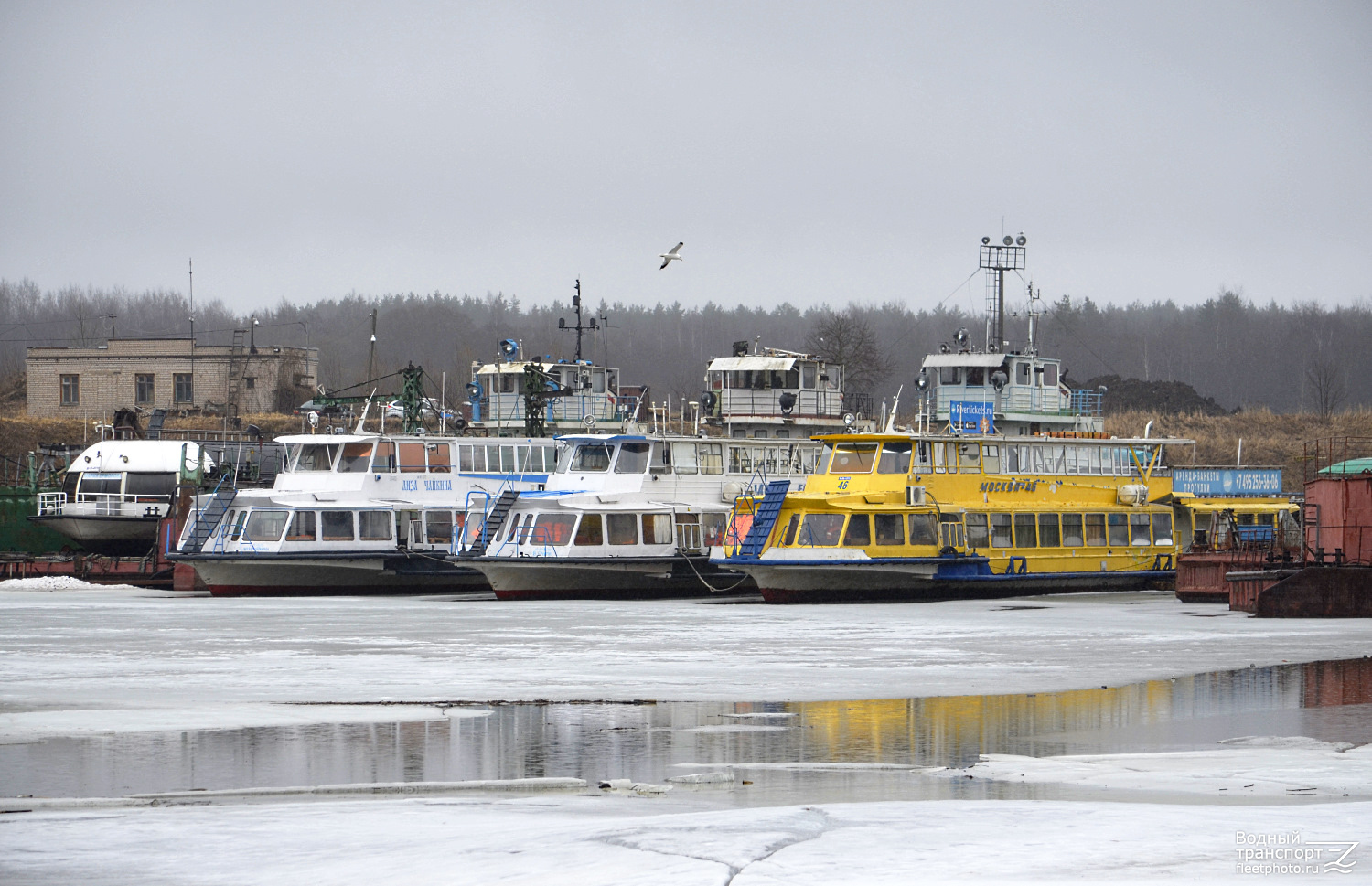 Мария Ермолова, Лиза Чайкина, Владимир Ершов, Москва-46