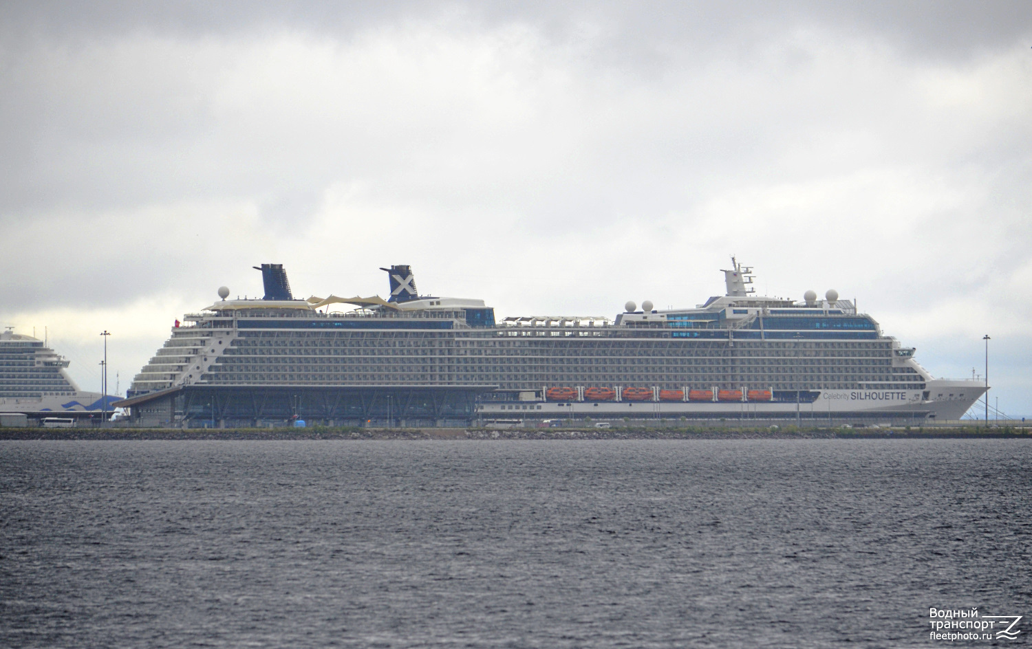 Celebrity Silhouette