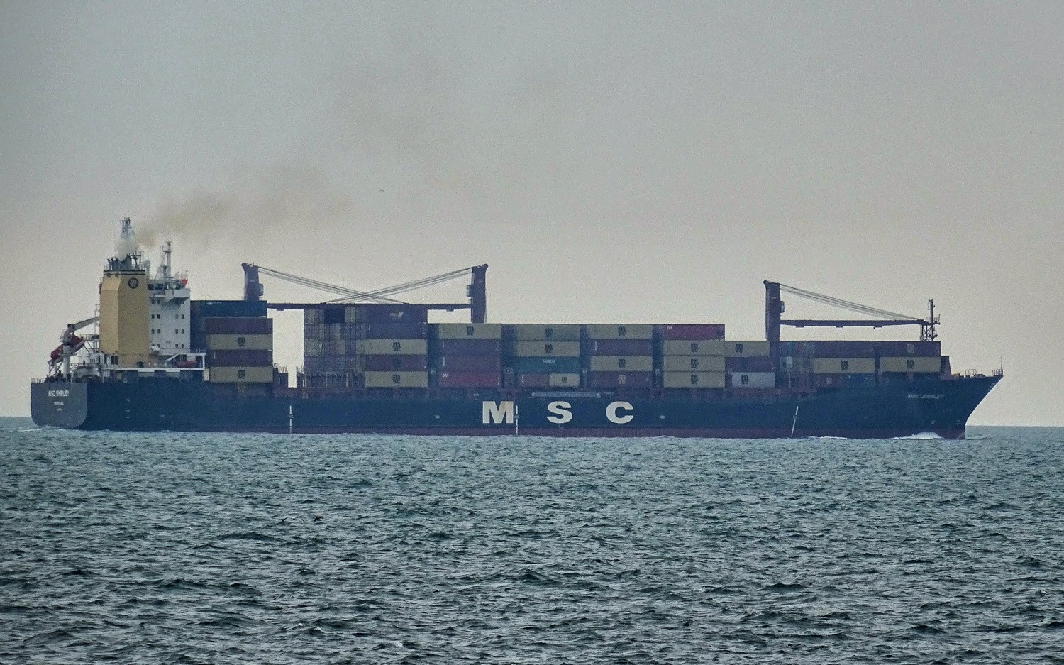 MSC Shirley