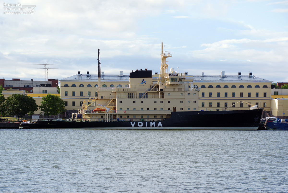 Voima