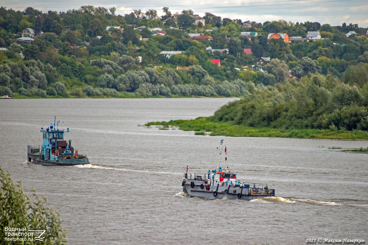 Баклан, Соловей