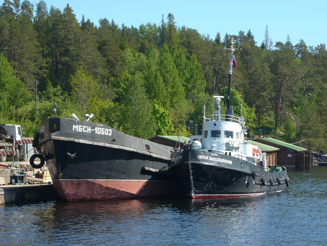 МБСН-10503, Святой Александр Невский